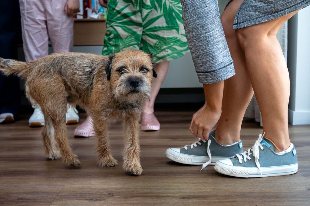Trouwschoenen zonder hakken